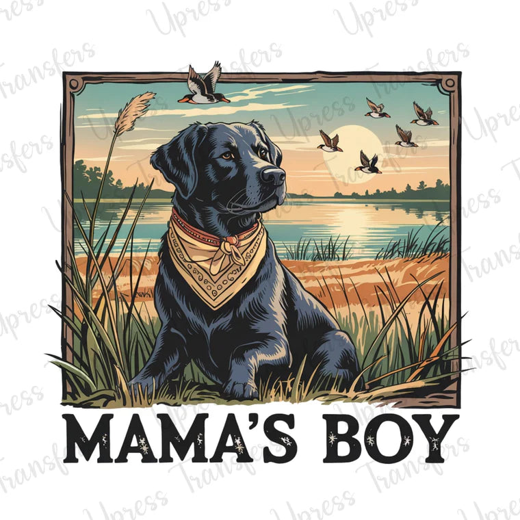 Lab Mamas Boy